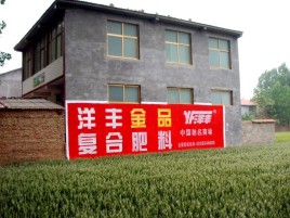 峡江如何让墙体广告展现最大化效果