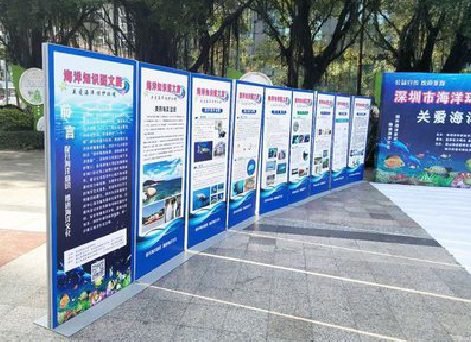 峡江KT板的种类和知识。